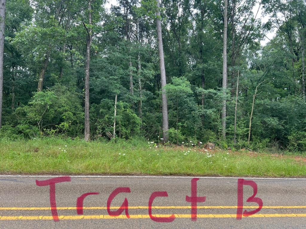 Tract B Fm 414 Property Photo 1