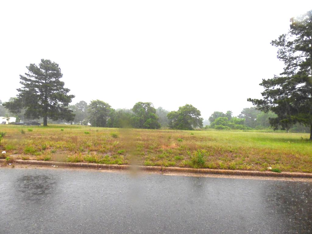 Tbd Ritchie Street Property Photo 3
