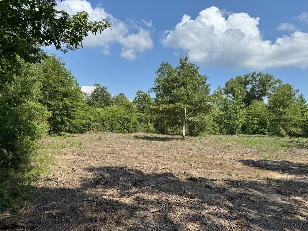 TBD County Road 4855 Property Photo 1