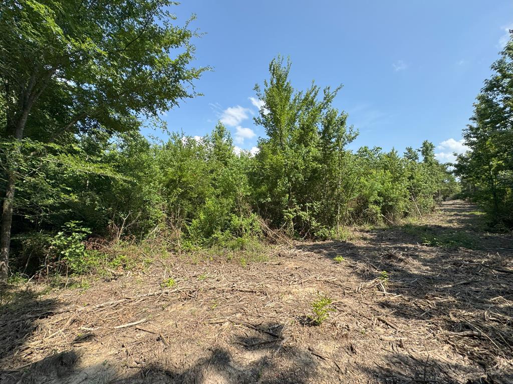 Tbd County Road 4855 Property Photo 1