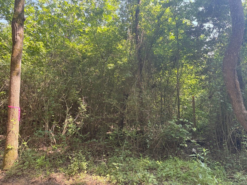 Tbd County Road 4855 Property Photo 3