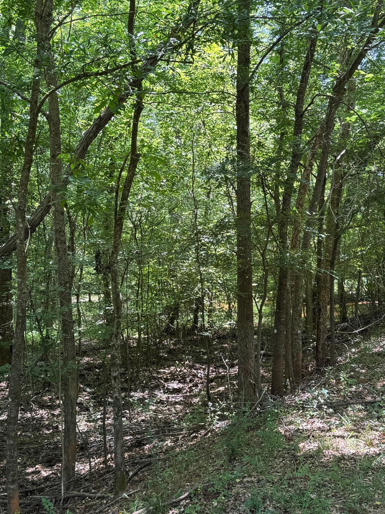 1546 Cr 2214 Property Photo 27