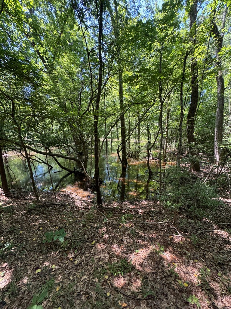 1546 Cr 2214 Property Photo 32