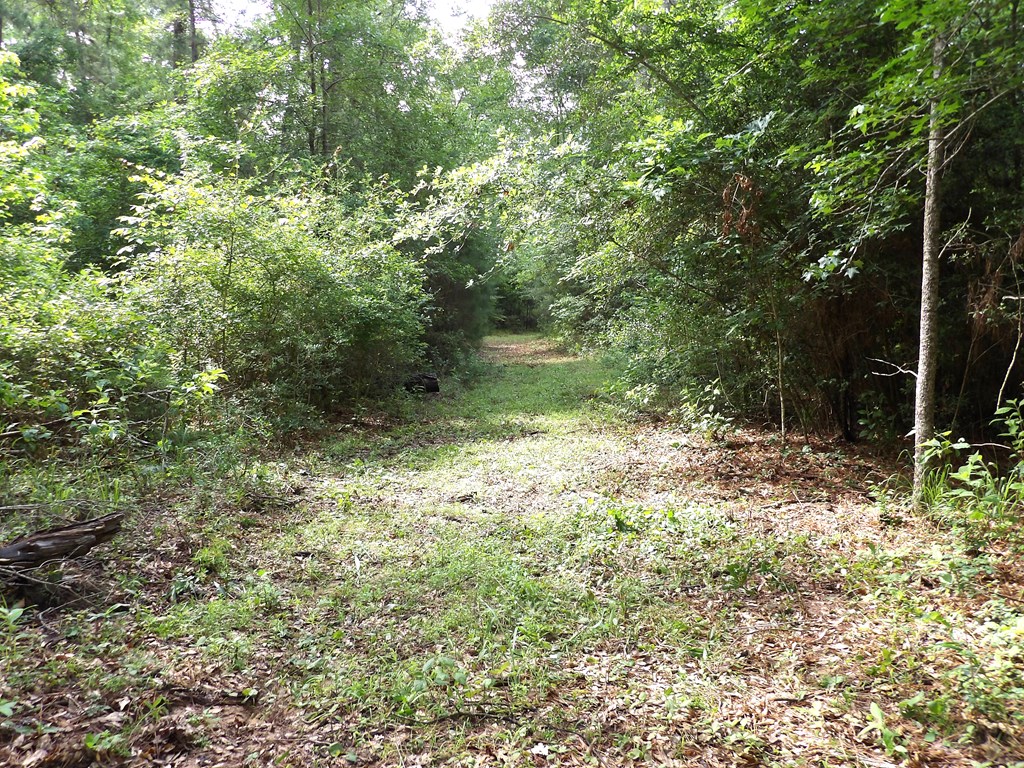 Tbd Fsr 536 Property Photo 11