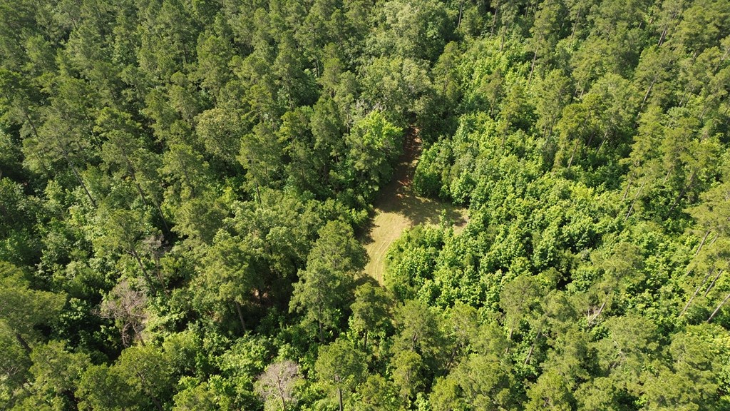 Tbd Fsr 536 Property Photo 17