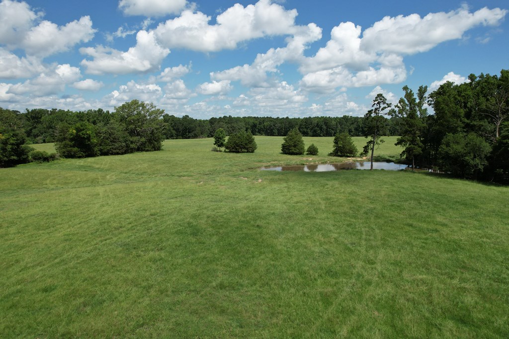 22501150 Property Photo 9