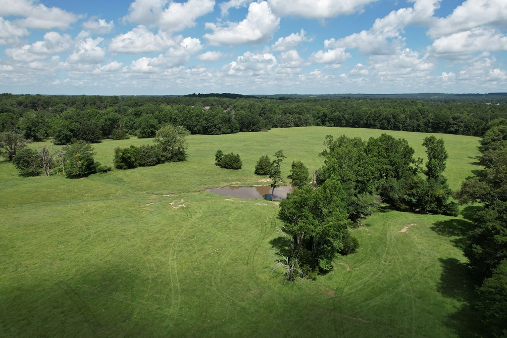 22501150 Property Photo 14