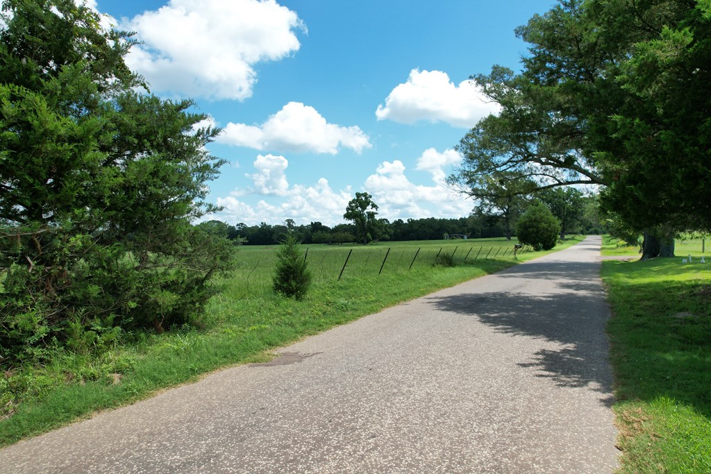 22501150 Property Photo 35