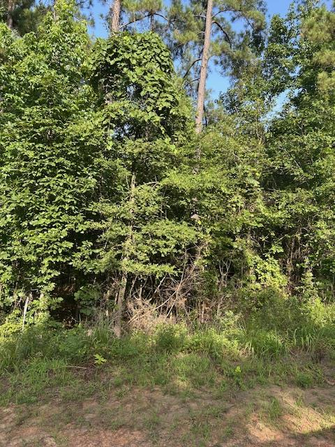 Lot 37 Cr 1060 Property Photo 1