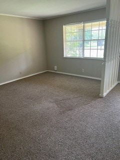 754 Maple Property Photo 8