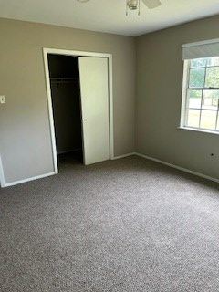 754 Maple Property Photo 19