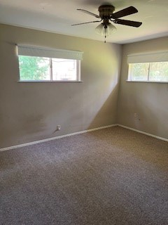 754 Maple Property Photo 22