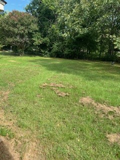 754 Maple Property Photo 26