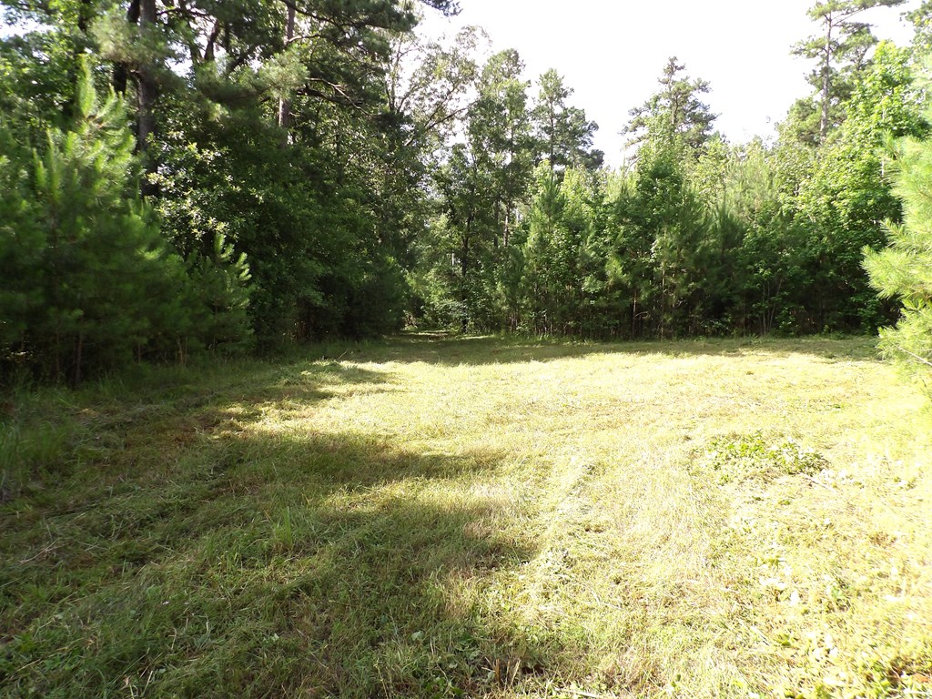 Parcel #7943 Fm 536 Property Photo 9