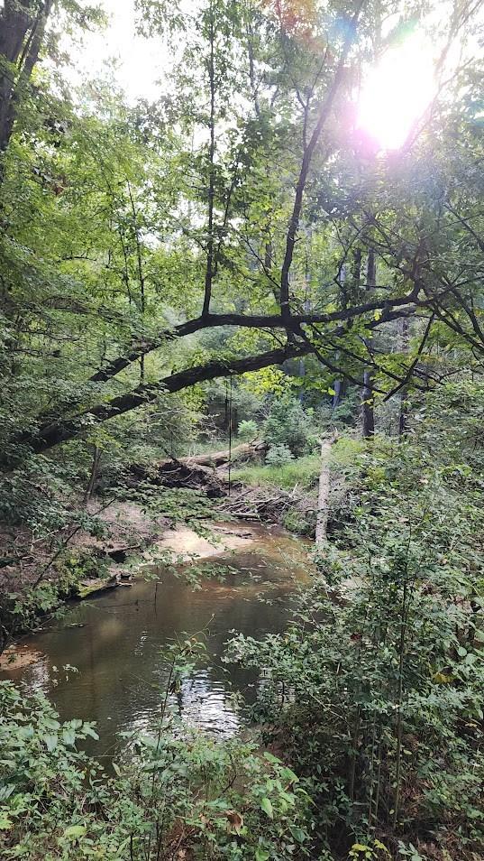 Pid# Multiple Cr 5341 Property Photo 1