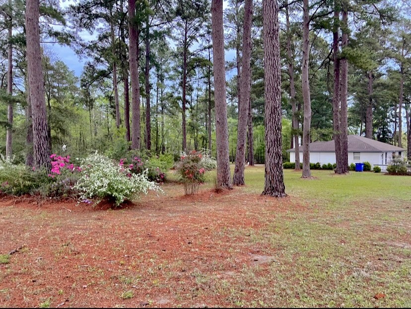 116 Lakeview Drive Property Photo 36