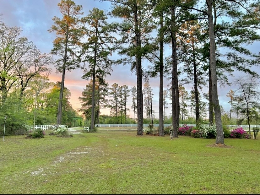 116 Lakeview Drive Property Photo 39