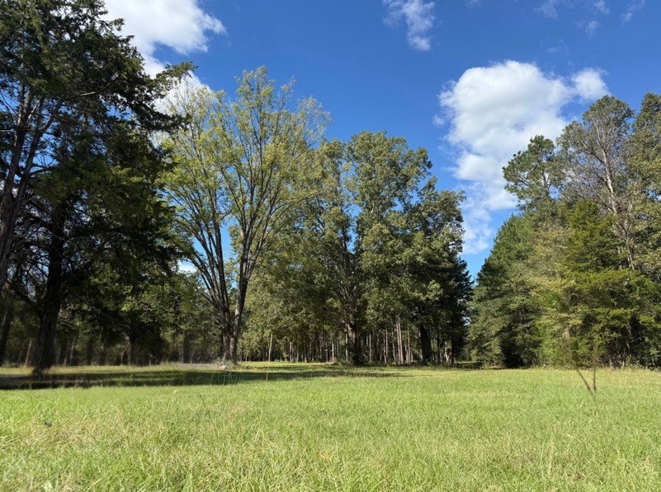 650 Cr 4683 Property Photo 4