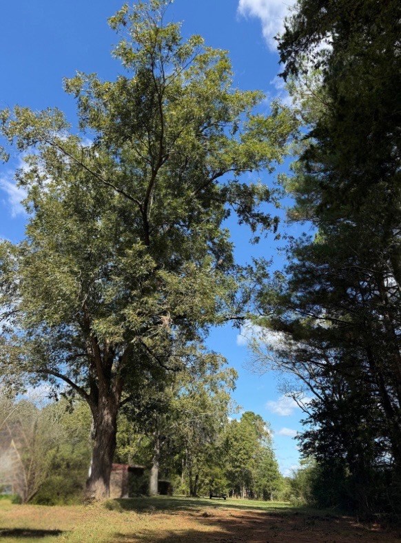 650 Cr 4683 Property Photo 5