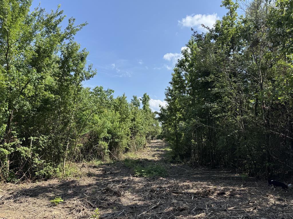 Pin 636351a Cr 4855 Property Photo 1