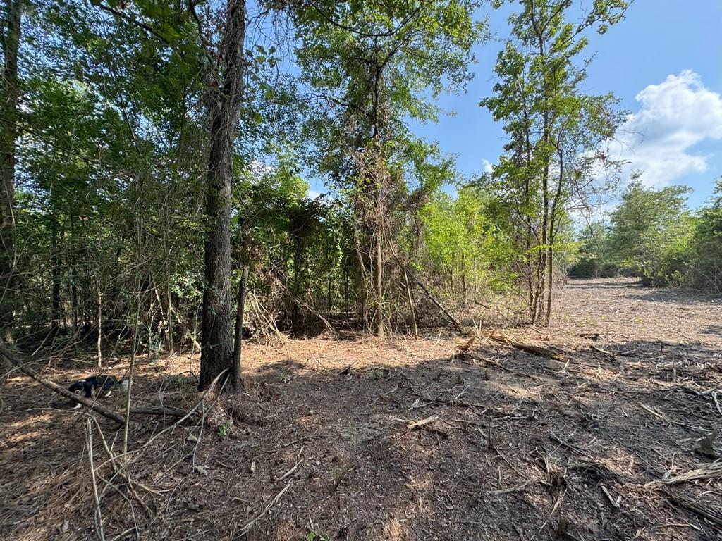 Pin 636351b Cr 4855 Property Photo 1