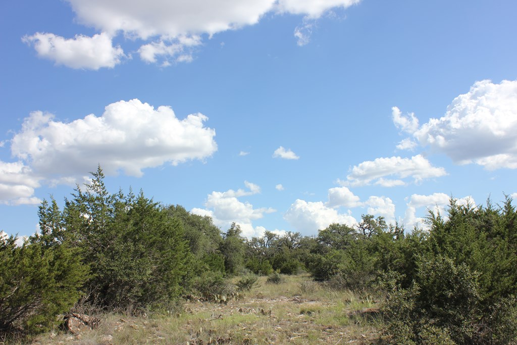 Pid 3126 Fm 2169 Property Photo 2
