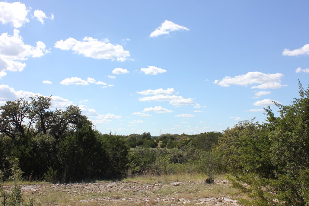 Pid 3126 Fm 2169 Property Photo 3