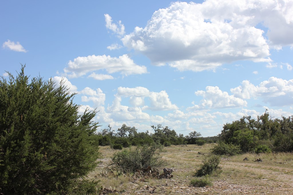Pid 3126 Fm 2169 Property Photo 4