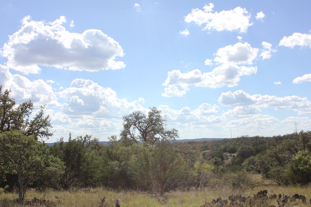 Pid 3126 Fm 2169 Property Photo 5