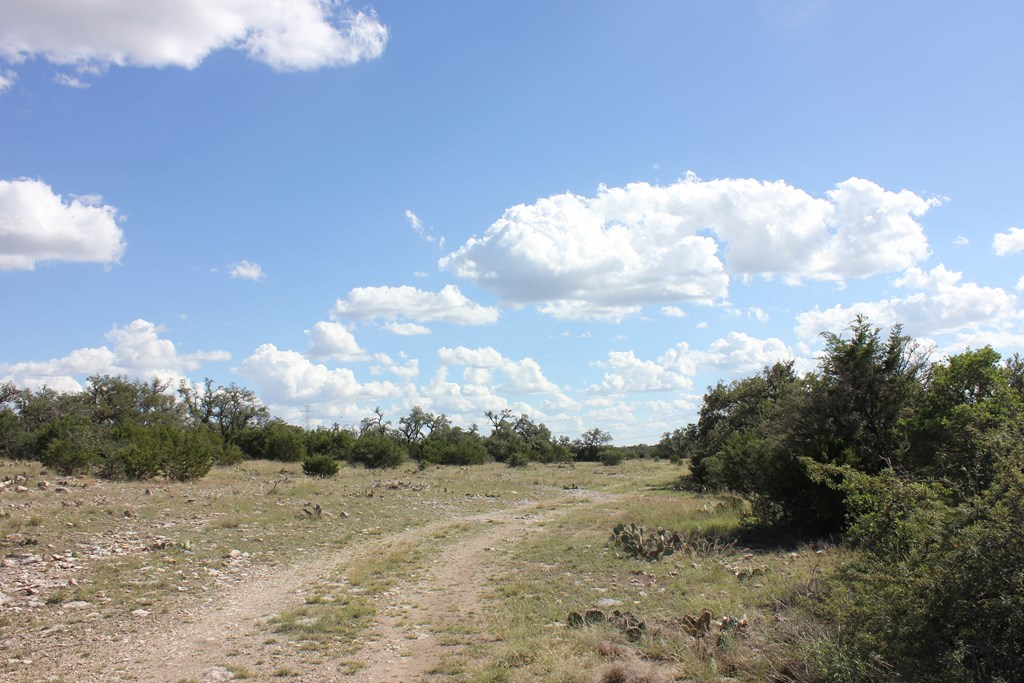 Pid 3126 Fm 2169 Property Photo 6