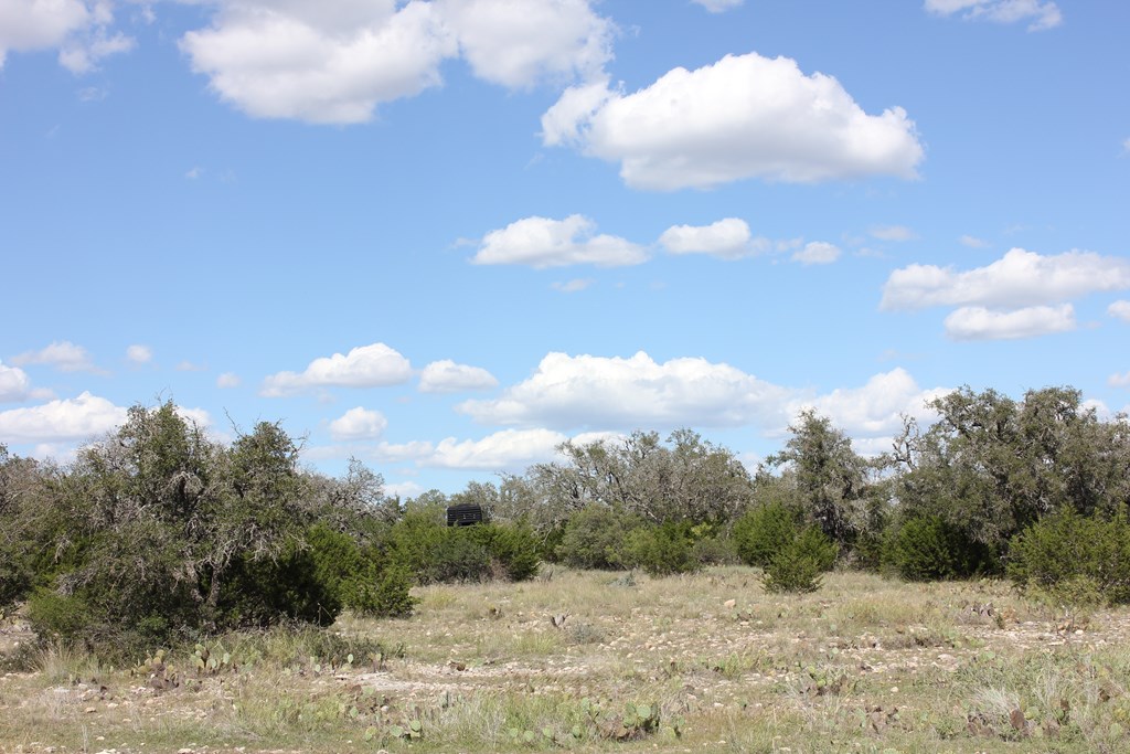 Pid 3126 Fm 2169 Property Photo 7
