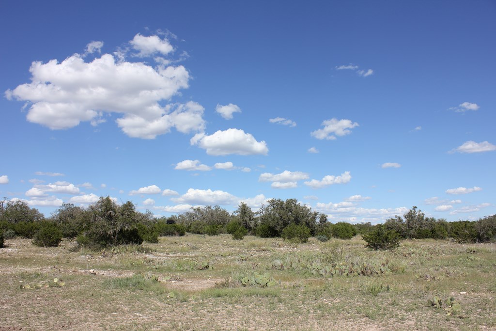 Pid 3126 Fm 2169 Property Photo 8