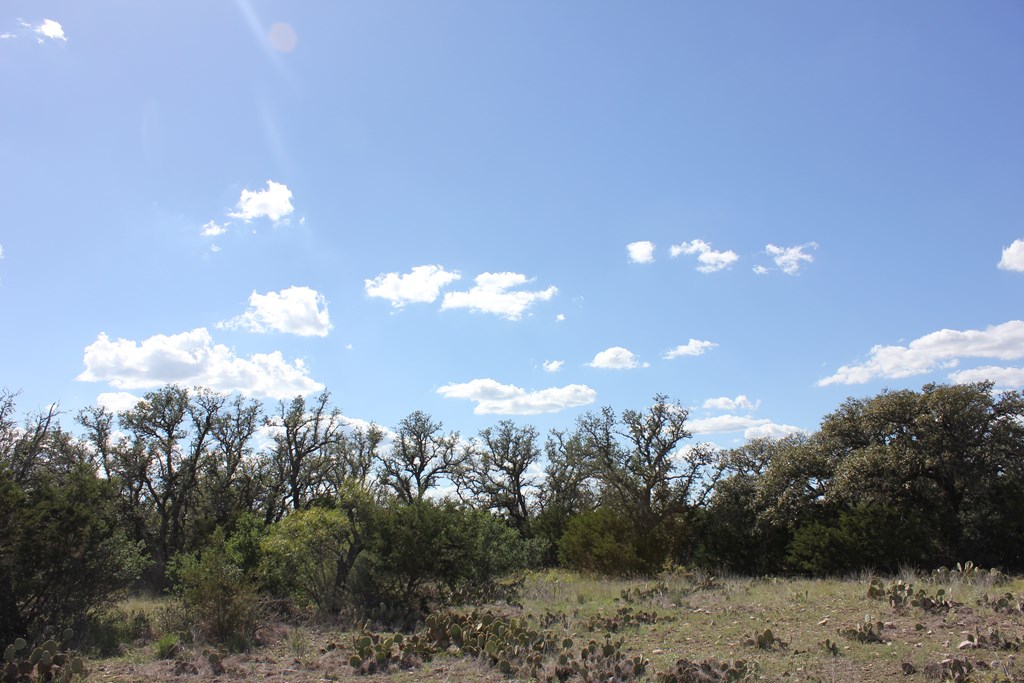 Pid 3126 Fm 2169 Property Photo 9