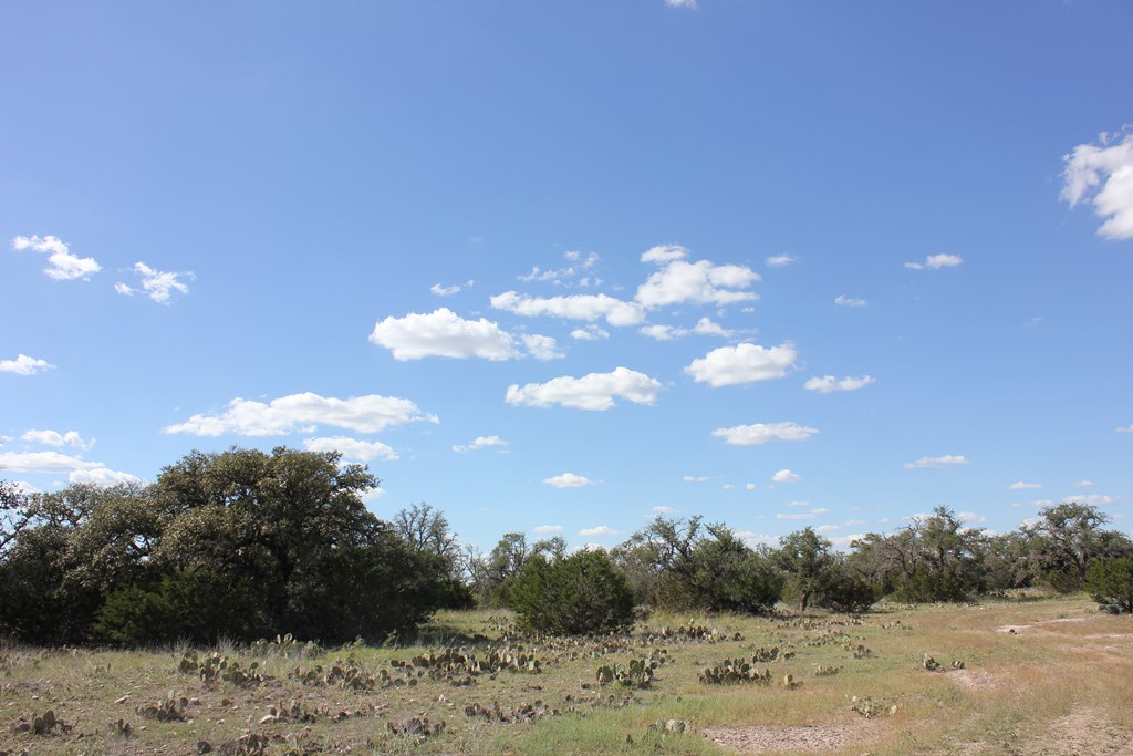 Pid 3126 Fm 2169 Property Photo 10
