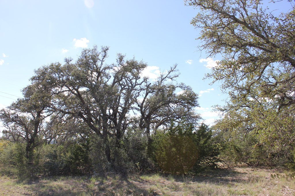 Pid 3126 Fm 2169 Property Photo 11