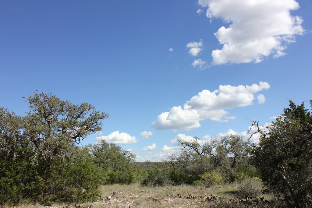Pid 3126 Fm 2169 Property Photo 12