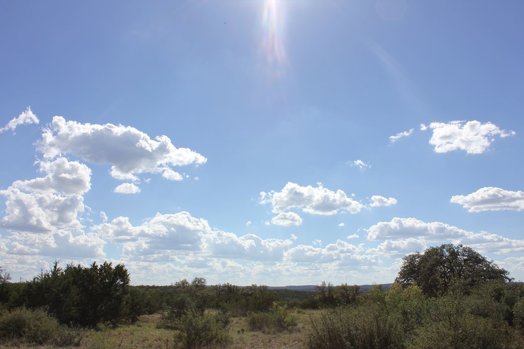 Pid 3126 Fm 2169 Property Photo 14