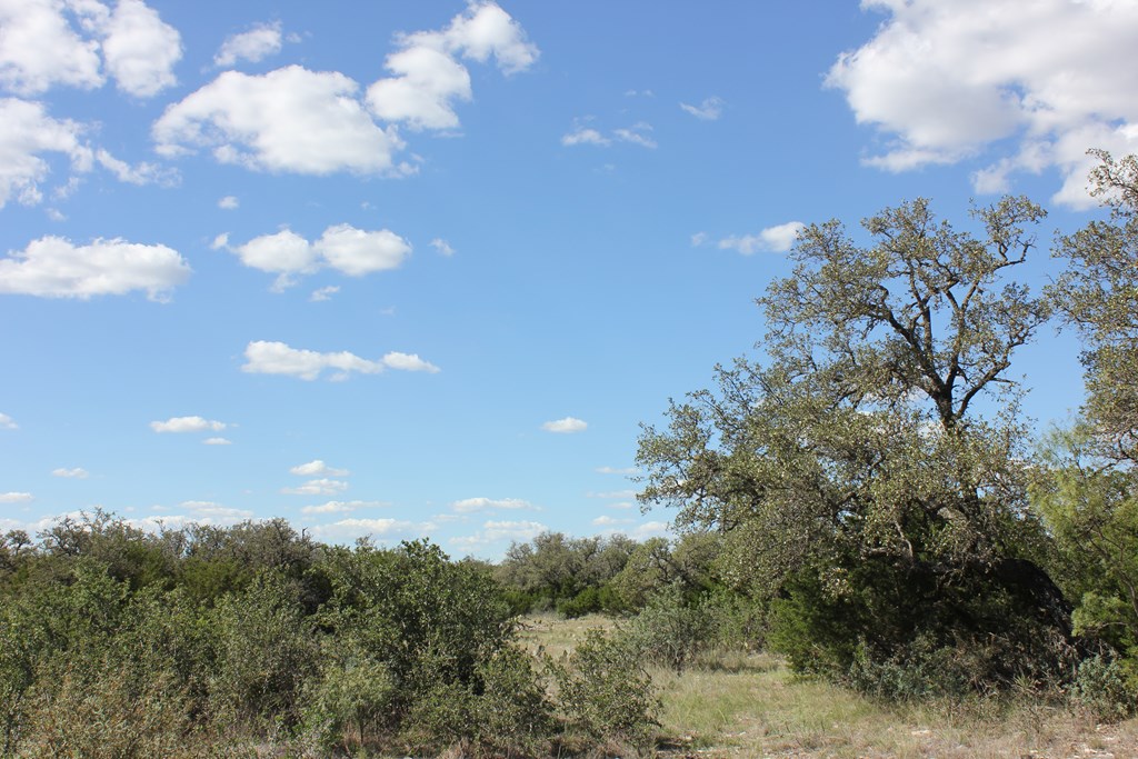 Pid 3126 Fm 2169 Property Photo 18