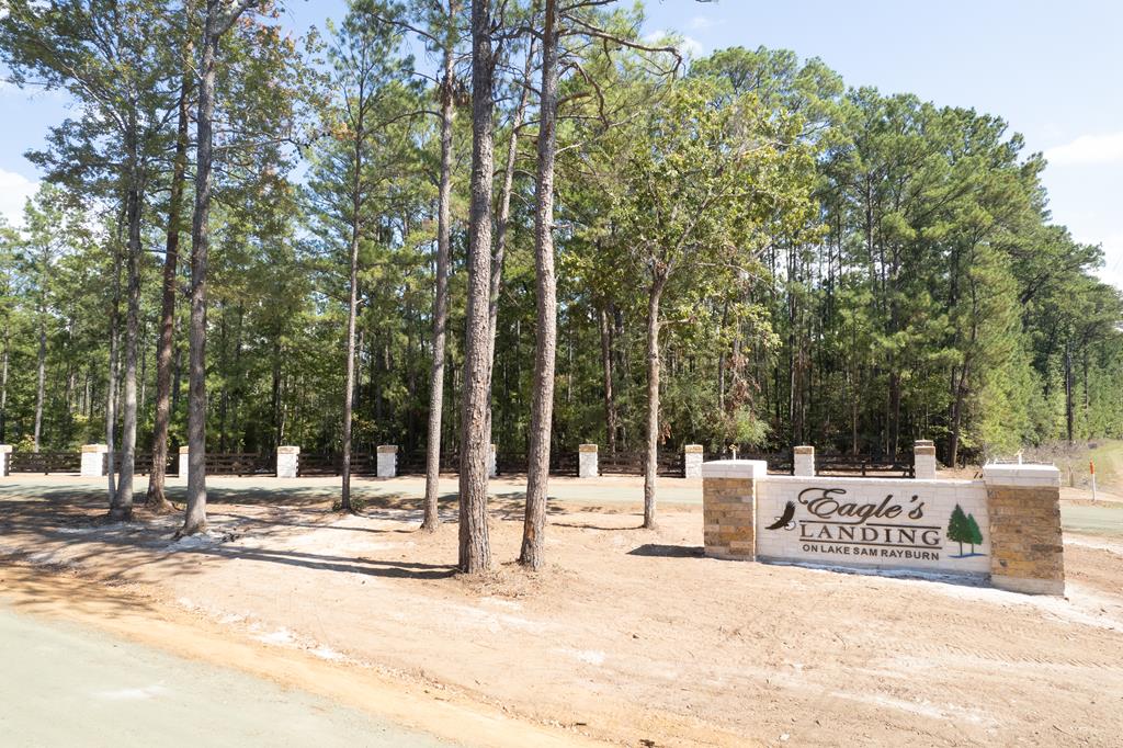 28125 Lot 110 Fm 705 Property Photo 1