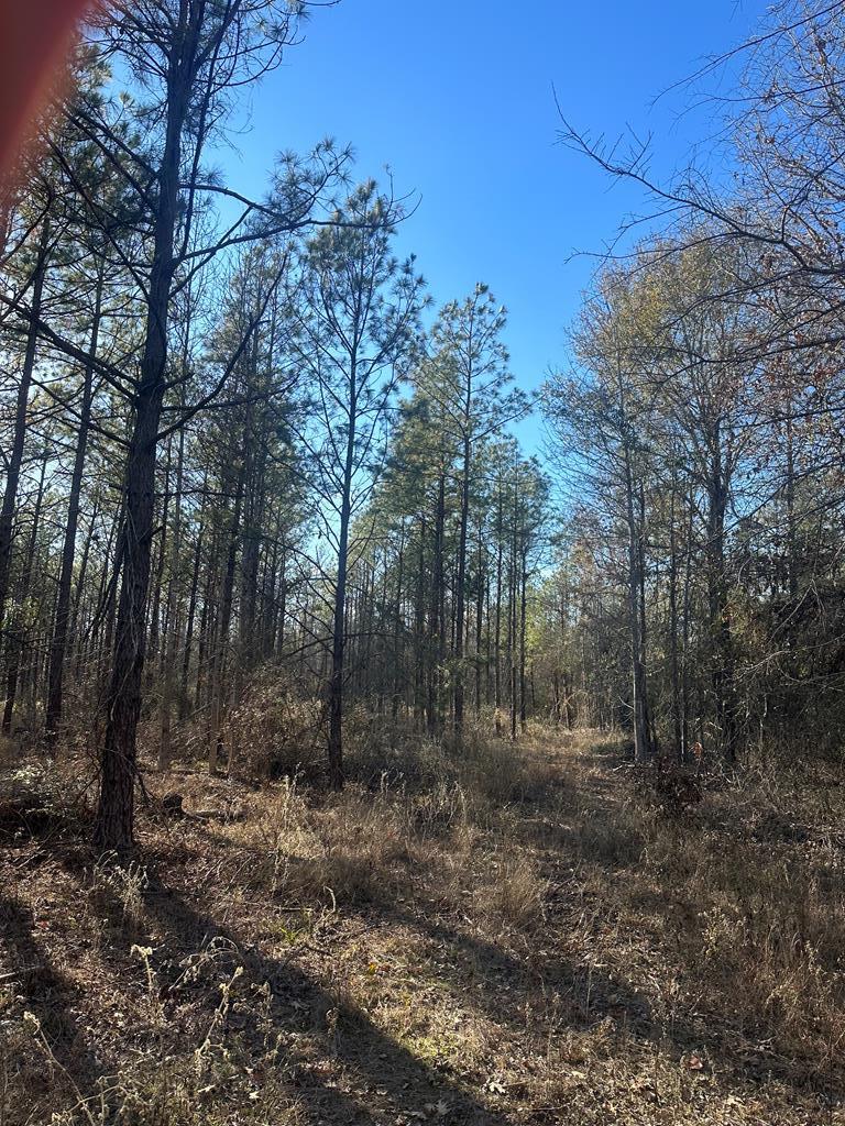 A0425 Fm 358 Property Photo 5