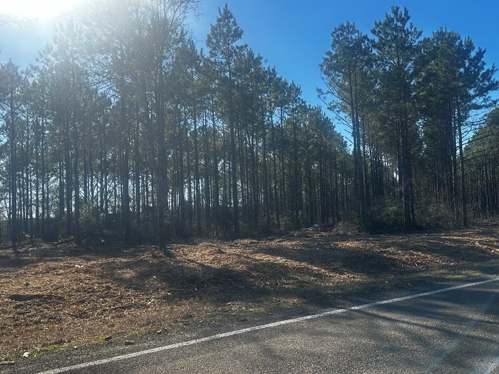A0425 Fm 358 Property Photo 23