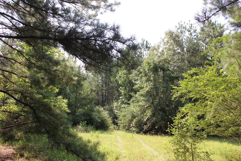 Pid 36982 Ben Dunn Road Property Photo 1