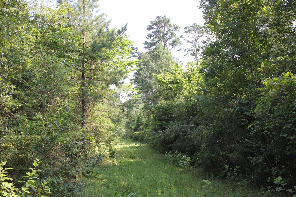 Pid 36982 Ben Dunn Road Property Photo 7