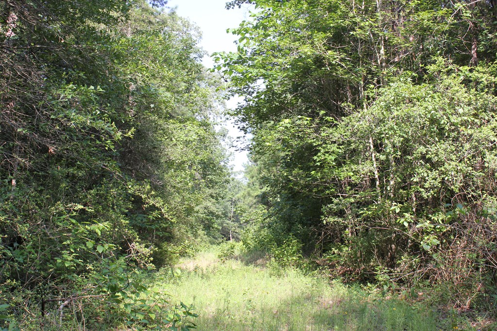 Pid 36982 Ben Dunn Road Property Photo 8