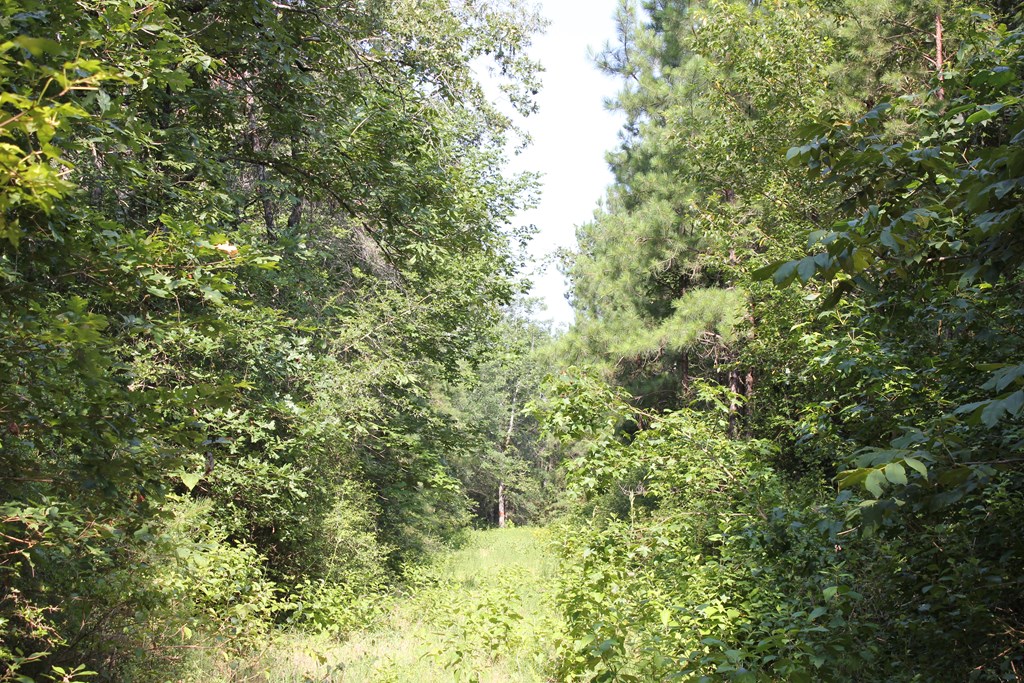 Pid 36982 Ben Dunn Road Property Photo 9