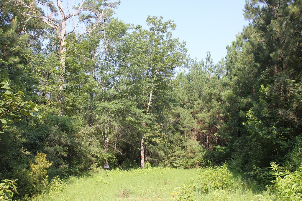 Pid 36982 Ben Dunn Road Property Photo 10