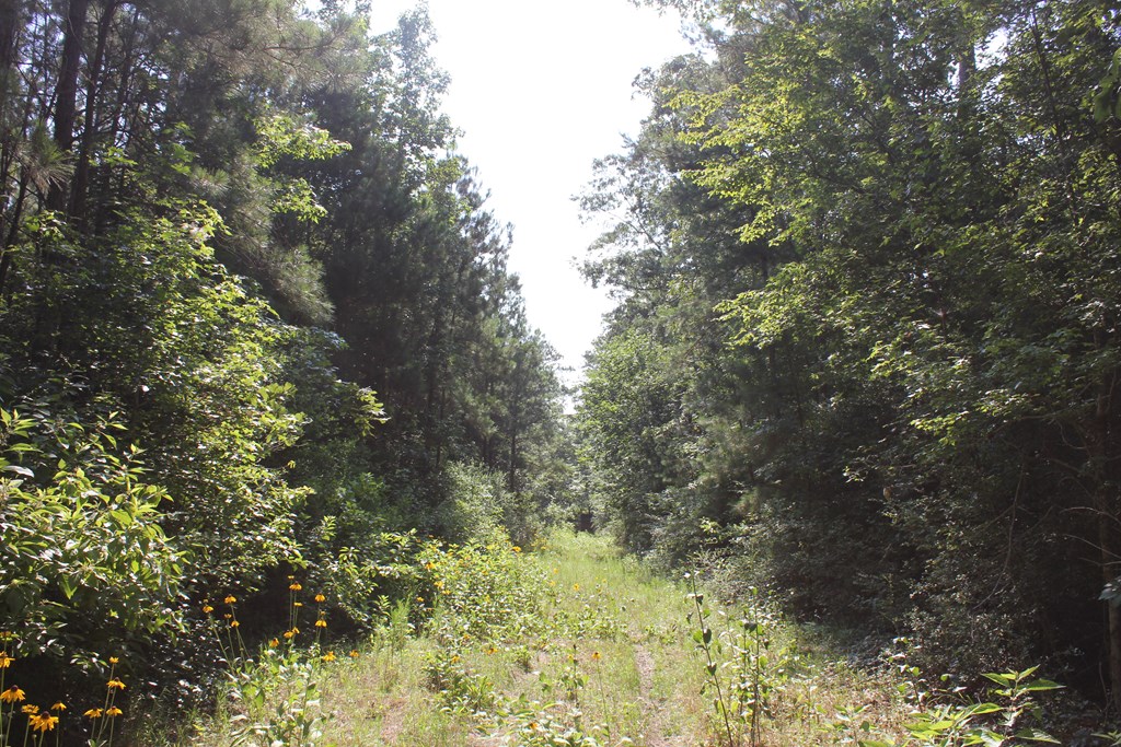 Pid 36982 Ben Dunn Road Property Photo 11