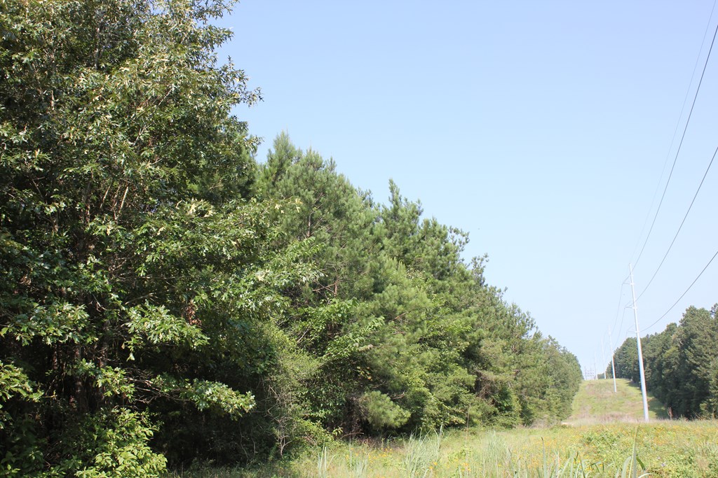 Pid 36982 Ben Dunn Road Property Photo 12