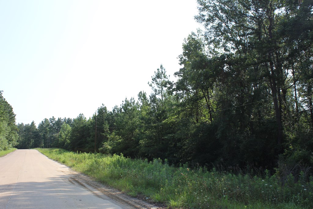 Pid 36982 Ben Dunn Road Property Photo 14