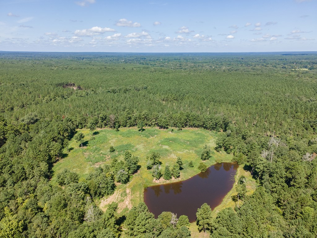 5848 Fm 1751 Property Photo 5